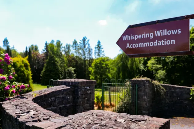 Photo of Whispering Willow, Brooklodge Demesne, Ballyglunin, Co. Galway, H54 XC86