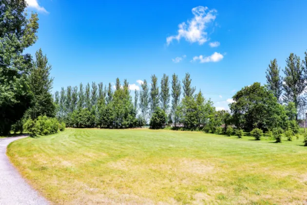 Photo of Whispering Willow, Brooklodge Demesne, Ballyglunin, Co. Galway, H54 XC86