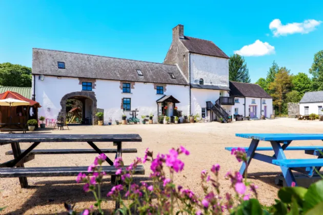 Photo of Whispering Willow, Brooklodge Demesne, Ballyglunin, Co. Galway, H54 XC86