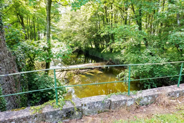 Photo of Whispering Willow, Brooklodge Demesne, Ballyglunin, Co. Galway, H54 XC86