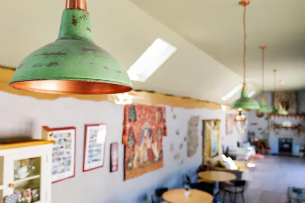 Photo of Whispering Willow, Brooklodge Demesne, Ballyglunin, Co. Galway, H54 XC86