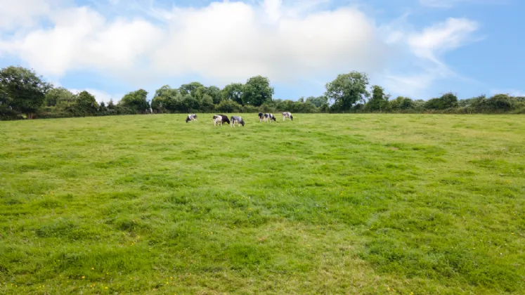 Photo of Hodgestown, Donadea, Co Kildare