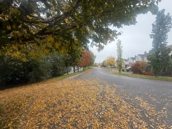 Photo of 56 Ardan Glas, Portlaoise, Co. Laois, R32PYV6