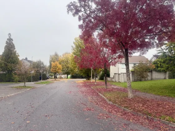 Photo of 56 Ardan Glas, Portlaoise, Co. Laois, R32PYV6