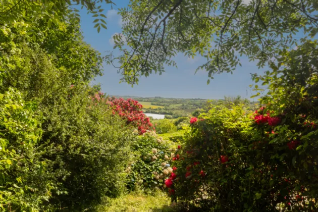 Photo of Wuthering Heights, Tara Hill, Gorey, Co. Wexford, Y25YY74