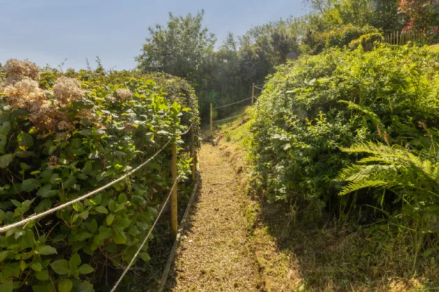 Photo of Wuthering Heights, Tara Hill, Gorey, Co. Wexford, Y25YY74