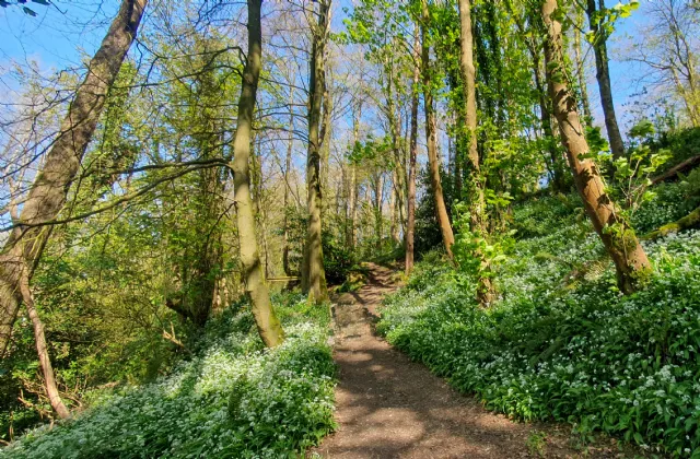 Photo of Wuthering Heights, Tara Hill, Gorey, Co. Wexford, Y25YY74