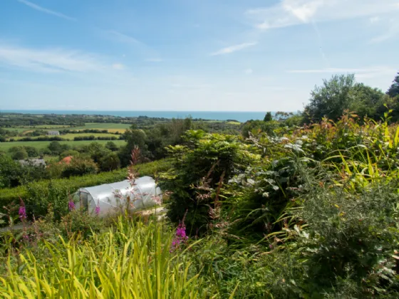 Photo of Wuthering Heights, Tara Hill, Gorey, Co. Wexford, Y25YY74