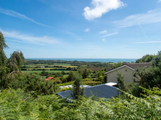 Photo of Wuthering Heights, Tara Hill, Gorey, Co. Wexford, Y25YY74