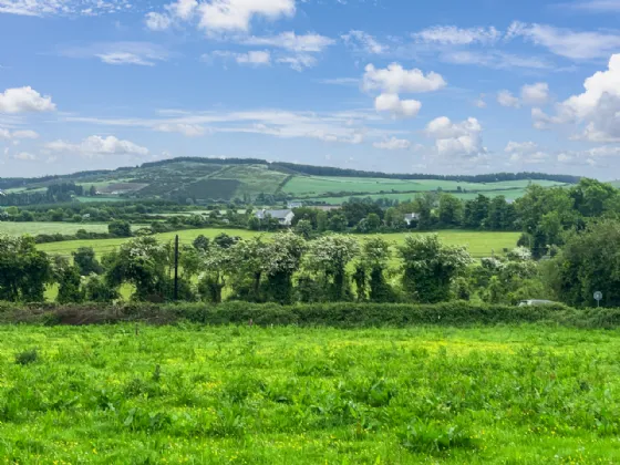 Photo of Curragh, Portroe, Nenagh, Co. Tipperary