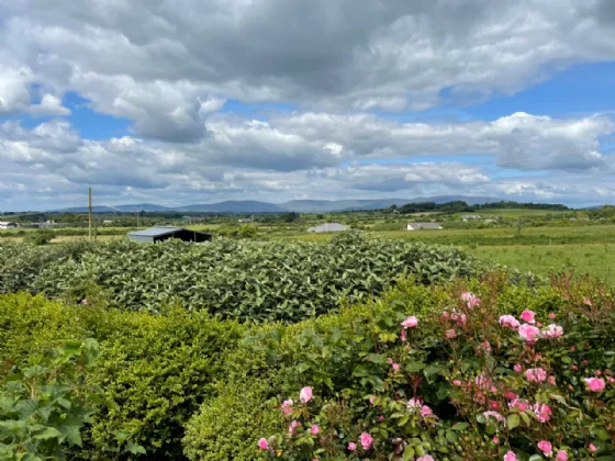 Photo of Rathquage, Bunmahon, Co. Waterford, X42 XN73