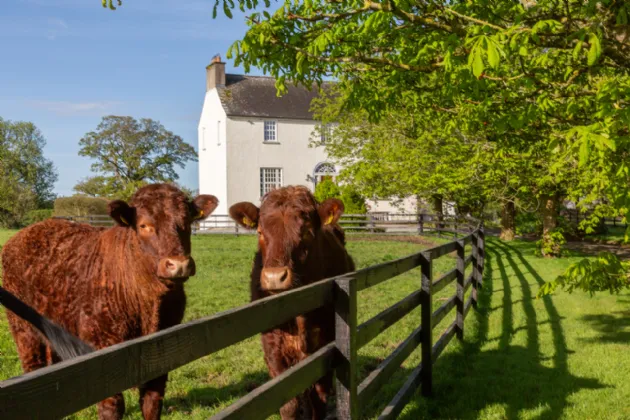 Photo of Eadestown House, On Approx. 12ha(31 Acres), Eadestown, Naas, County Kildare, W91P6XY