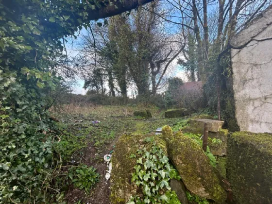 Photo of The Lane, Kiskeam, Mallow, Co. Cork, P51E271