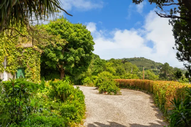 Photo of Druid Lodge, Killiney Hill Road, Killiney, County Dublin, A96 PA66