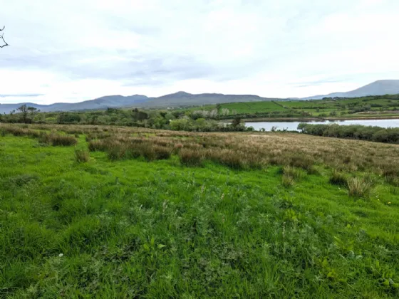 Photo of 7.93 Acres Agricultural Land, Ardagh, Newport, Co Mayo