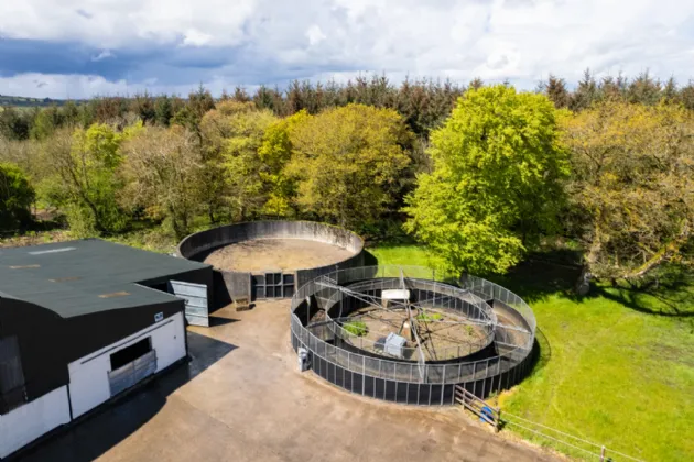 Photo of Farm Hill House, Dromina, Near Charleville, County Cork, P56 DH63