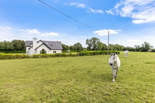 Photo of Bellwood House, Bellew, Rathfeigh, Tara, Co Meath, C15PYW5