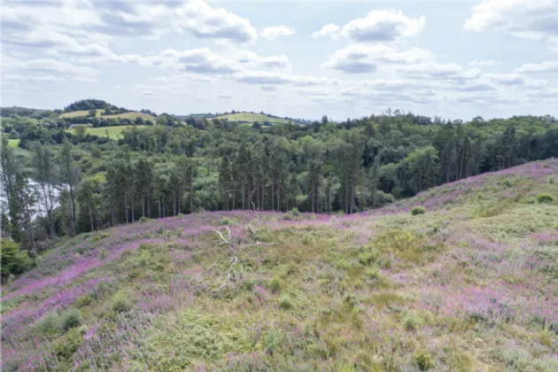 Photo of Lands At Loughcrew, Oldcastle, Co Meath