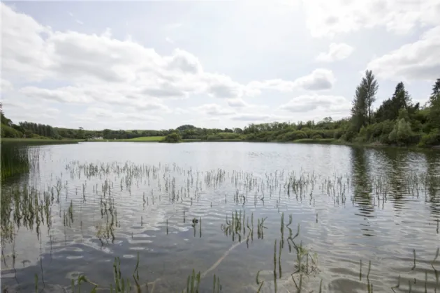 Photo of Lands At Loughcrew, Oldcastle, Co Meath