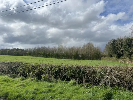 Photo of Larch Hill, Monasterevin, Co. Kildare