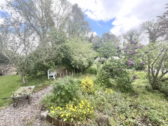 Photo of Fern Brook, Cooleragh, Coill Dubh, Co. Kildare, W91 Y9PH