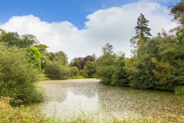 Photo of Ballyneale House, Ballingarry, Co. Limerick, V94 E729