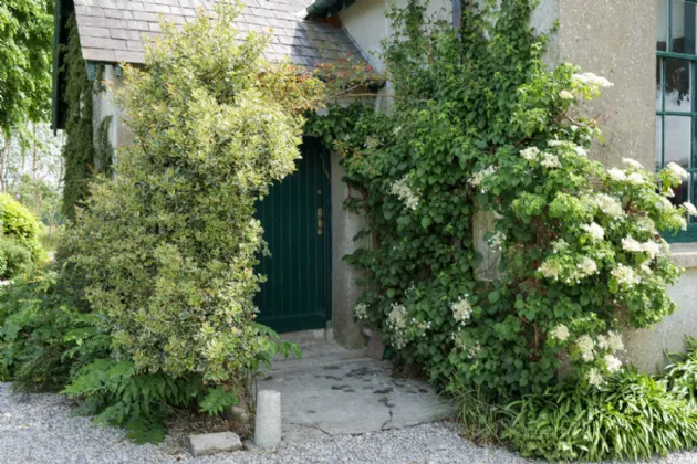 Photo of The Old School House, Cross, Ballacolla, Co. Laois, R32 D2V1