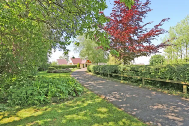 Photo of Faheen Cottage, Knockanes, Patrickswell, Co Limerick, V94X264