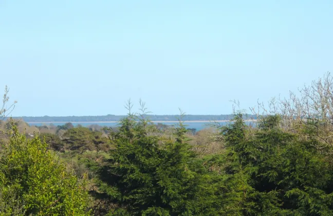 Photo of Fairfield, Rathaspeck, Co Wexford, Y35 CH2T