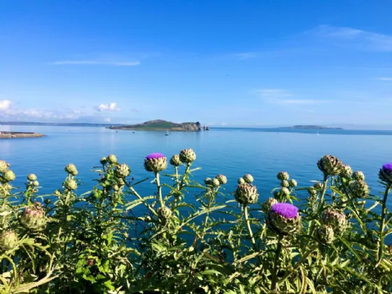 Photo of Balscadden House, Balscadden Road, Howth, Co. Dublin, D13RX59