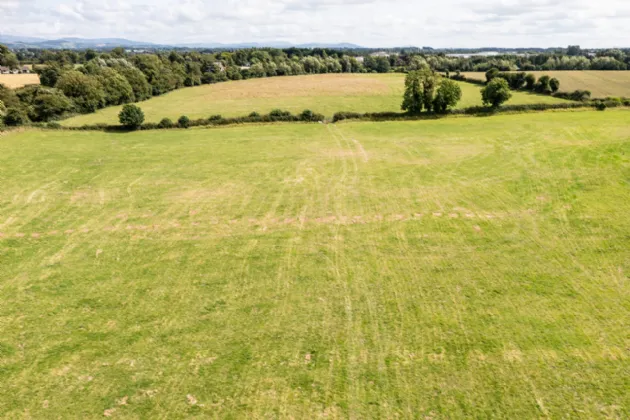 Photo of 21  Acres Approximately, Gingerstown,, Caragh,, Naas,, Co. Kildare, W91 PFD3