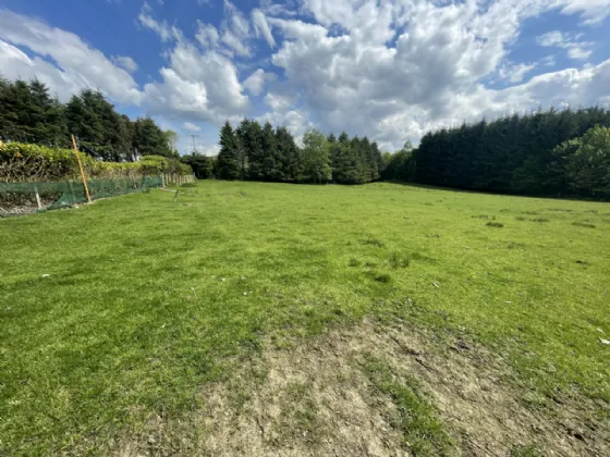 Photo of Site SSP Bohea, Liscarney, Westport, Co Mayo