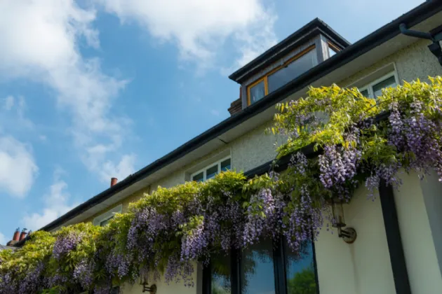 Photo of 8 Butterfield Park, Rathfarnham, Dublin 16, D14 XC85