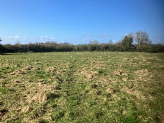 Photo of 15.75. Acres/6.37 Hectares, Shanacloon,, Kildare, Co. Kildare