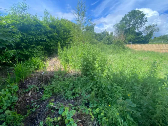 Photo of Bog Road,, Scotstown,, Co. Monaghan, H18X721