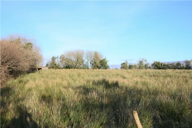 Photo of Lislea, Arigna, Co. Roscommon