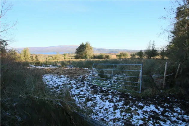 Photo of Lislea, Arigna, Co. Roscommon