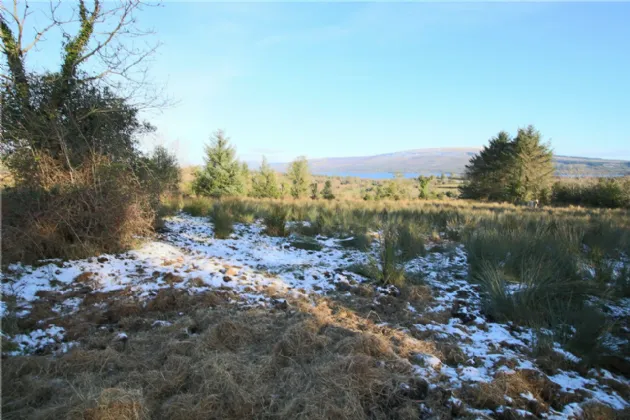 Photo of Lislea, Arigna, Co. Roscommon