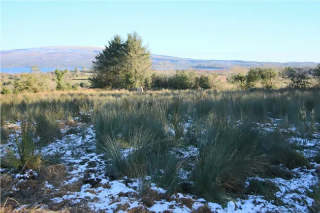 Photo of Lislea, Arigna, Co. Roscommon