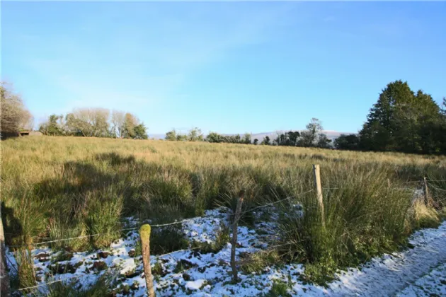 Photo of Lislea, Arigna, Co. Roscommon