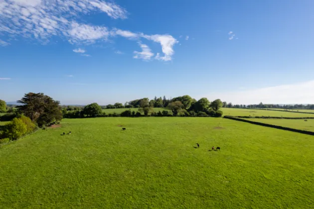 Photo of Rathduff Stud (Lot 2), On Approx. 38.48 Hectares 2 (95 Acres), Golden, Cashel, County Tipperary, E25 ET85