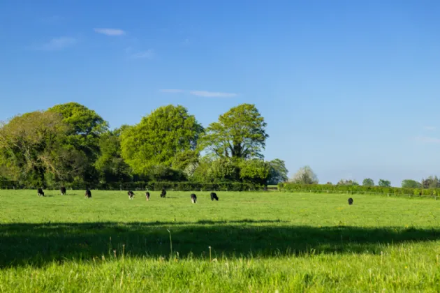 Photo of Rathduff Stud (Lot 2), On Approx. 38.48 Hectares 2 (95 Acres), Golden, Cashel, County Tipperary, E25 ET85