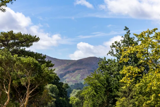 Photo of Kilbride Hill House, Herbert Road, Bray, Co. Wicklow, A98 AX29