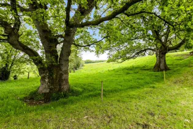 Photo of Inglewood, Munster Hill, Enniscorthy, Co. Wexford