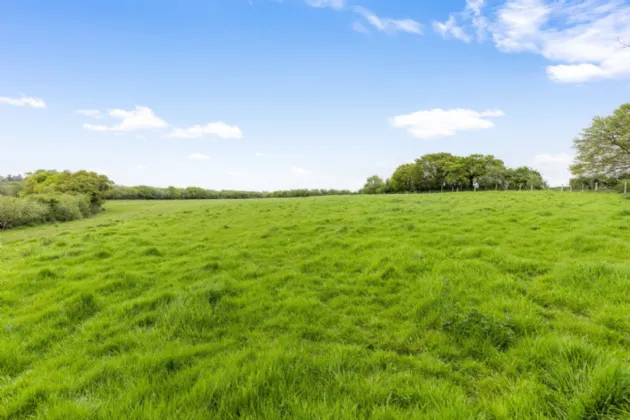 Photo of Inglewood, Munster Hill, Enniscorthy, Co. Wexford