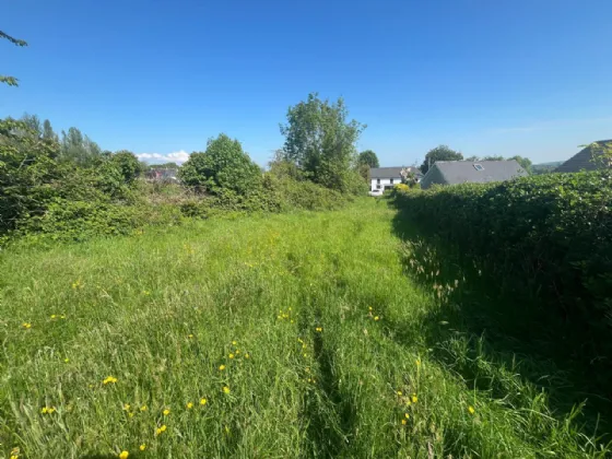 Photo of Newtown, Nenagh, Co. Tipperary