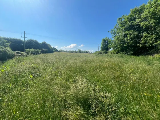 Photo of Newtown, Nenagh, Co. Tipperary