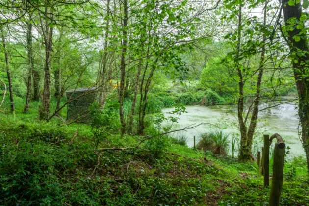 Photo of Hazel Brook House, Tombeagh, Hacketstown, Co. Carlow, R93 PN79