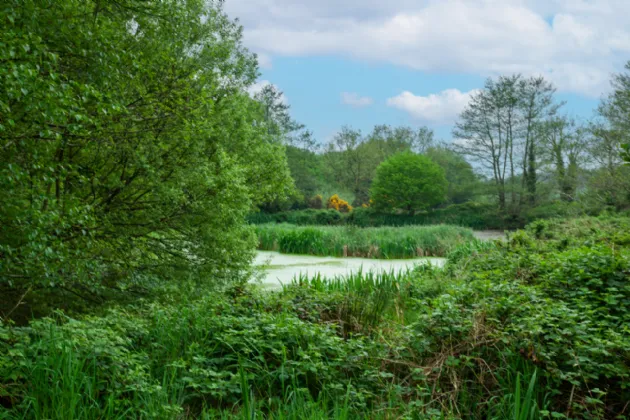 Photo of Hazel Brook House, Tombeagh, Hacketstown, Co. Carlow, R93 PN79