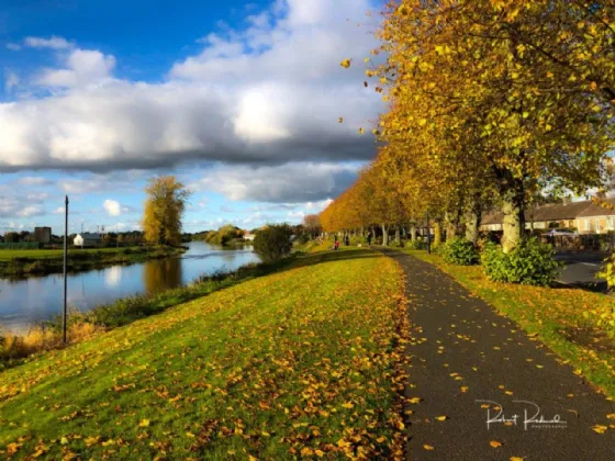 Photo of Nelson Street, Athy, Co. Kildare